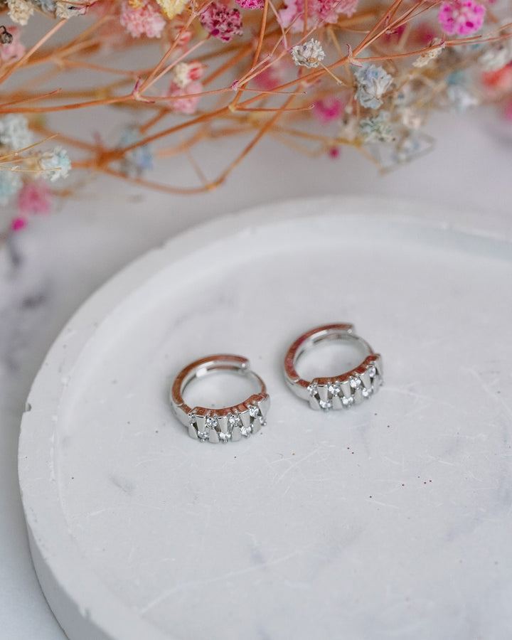 Minimālistiski sudraba krāsas auskari