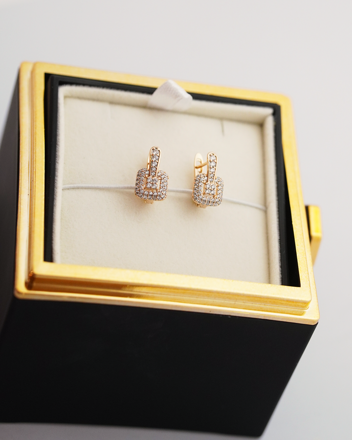 dāvana ar auskariem