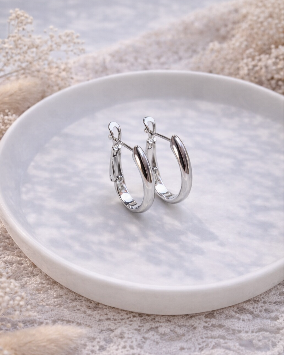 ausakri sudraba krāsā klasiski