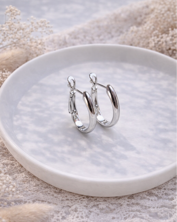 ausakri sudraba krāsā klasiski