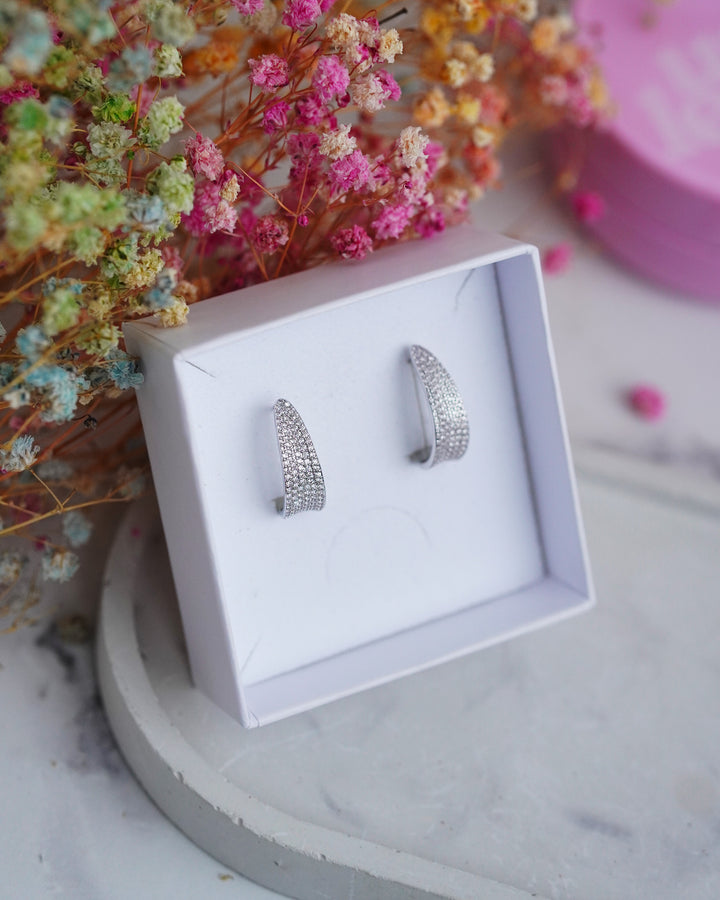 Auskari ar nagliņu aizdari